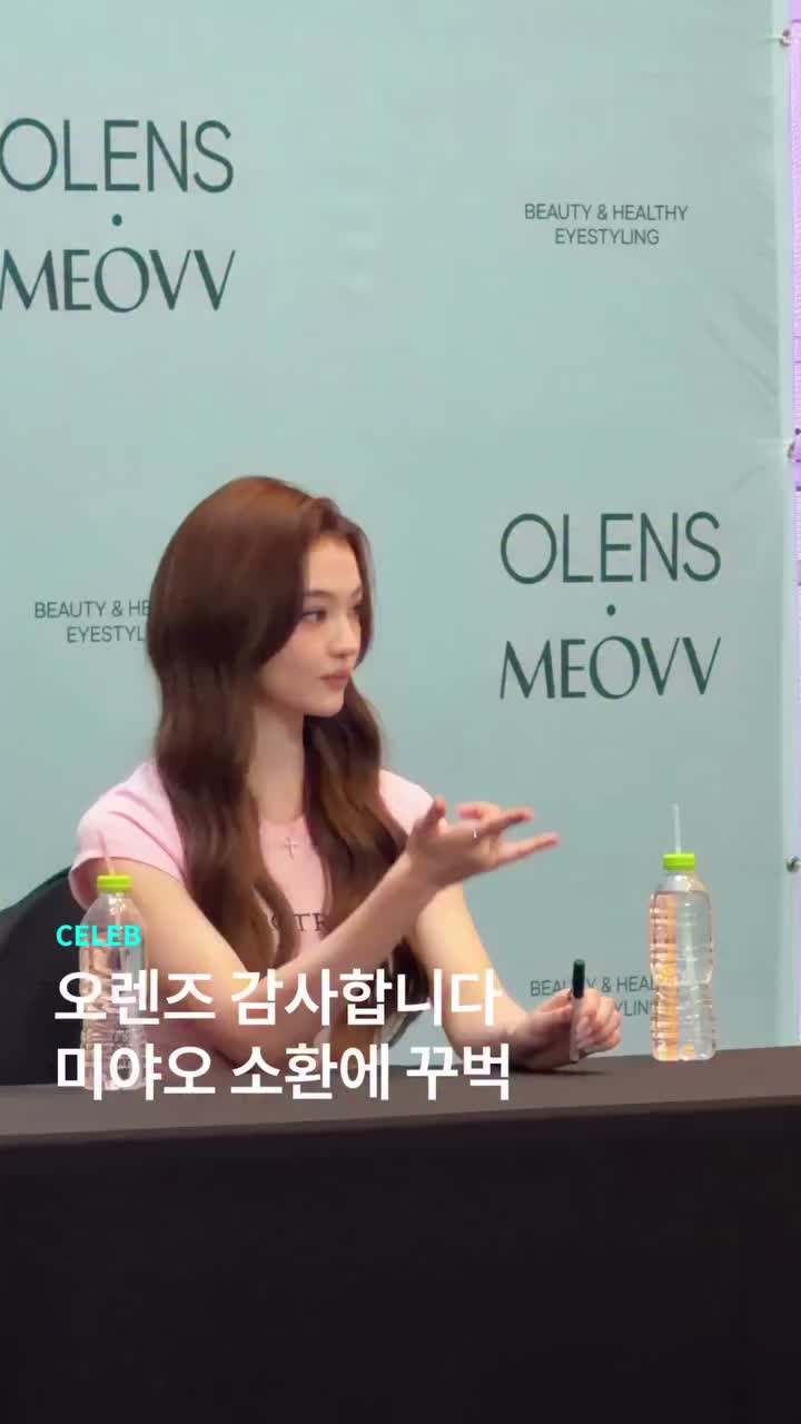 대장 고양이들 찾았습니다🫡