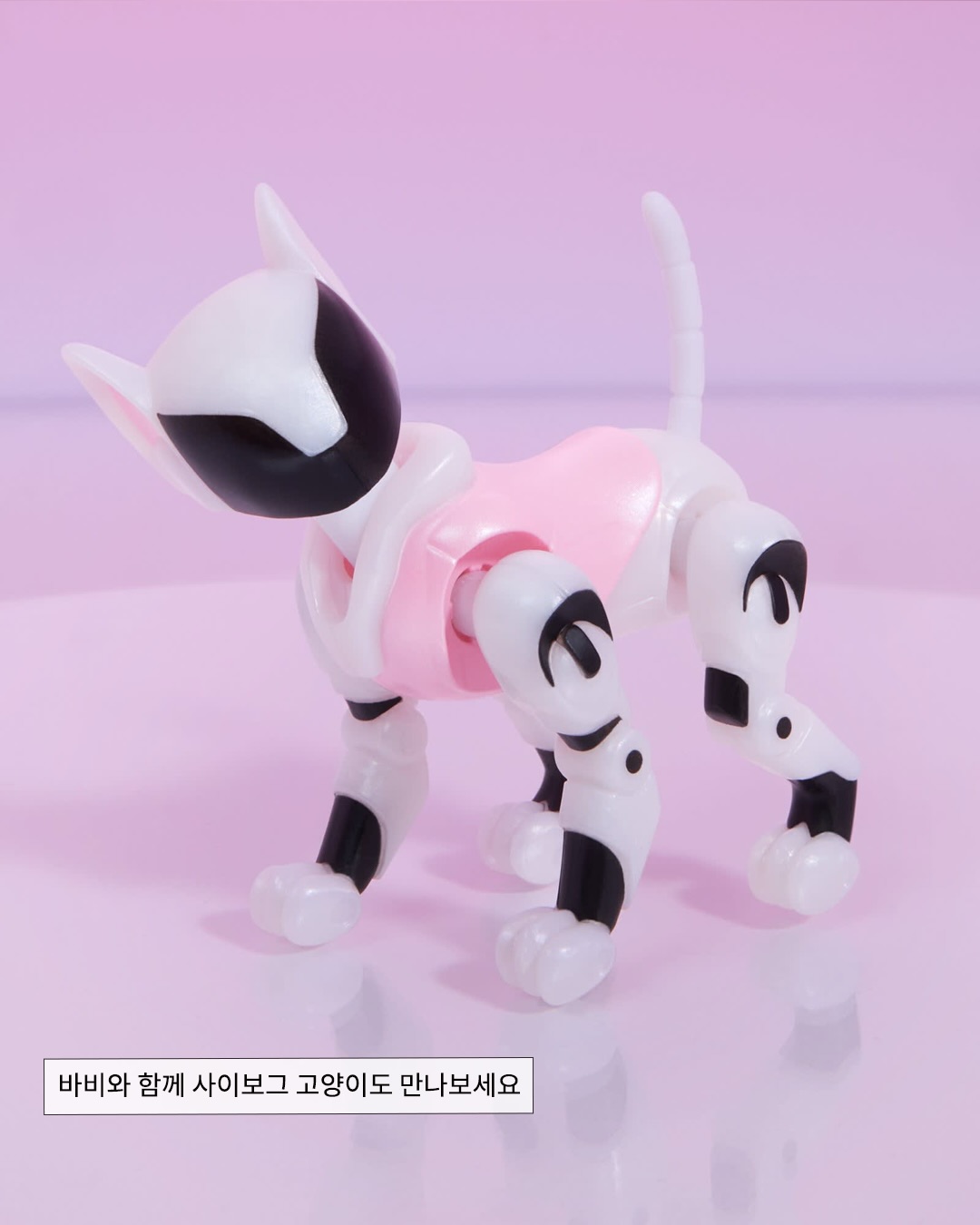 앰부시 또 한 건 했다!