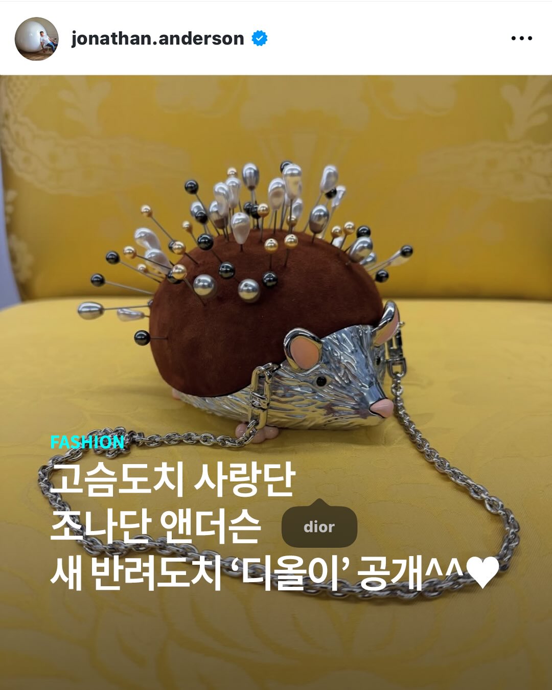 조나단이 고슴도치를 얼마나 아끼냐면은..