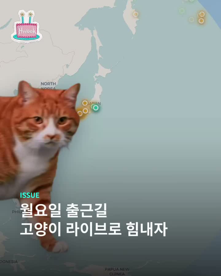 월요일 아침에 필요한 건 아메리카노가 아닙니다.